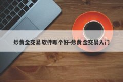 炒黄金交易软件哪个好-炒黄金交易入门
