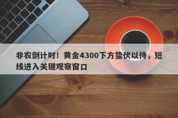 非农倒计时！黄金4300下方蛰伏以待，短线进入关键观察窗口