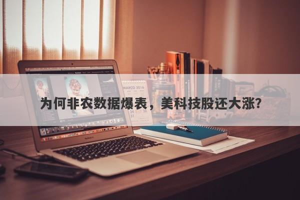 为何非农数据爆表，美科技股还大涨？