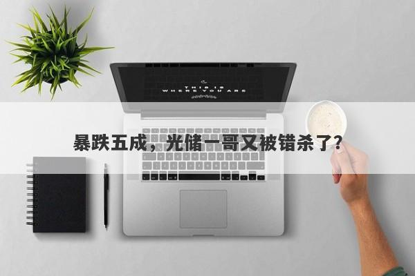 暴跌五成，光储一哥又被错杀了？