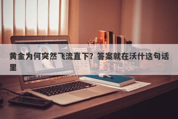 黄金为何突然飞流直下？答案就在沃什这句话里