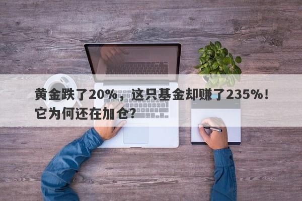黄金跌了20%，这只基金却赚了235%！它为何还在加仓？