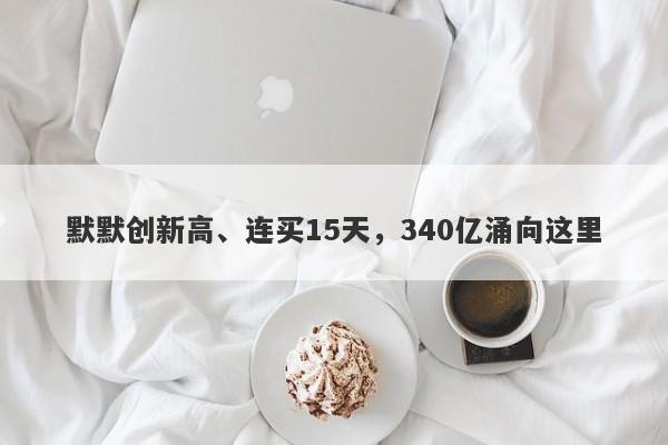 默默创新高、连买15天，340亿涌向这里
