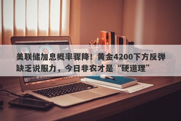 美联储加息概率骤降！黄金4200下方反弹缺乏说服力，今日非农才是“硬道理”